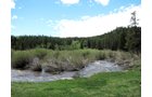 Property photo 20 - Get Lost in the Pristine Northern Colorado Rockies - Prime Building Sites